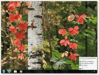 Autumn Landscape HD Live Wallpaper This Will Display