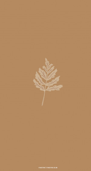 Cute Brown Aesthetic Wallpaper For Phone Beige Leave I Take