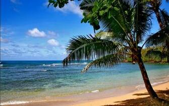Beach Scenes Wallpaper Hoticon Xyz