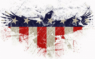Android Wallpaper Usa