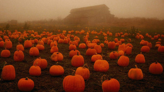 Halloween Background For Desktop Wallpaper