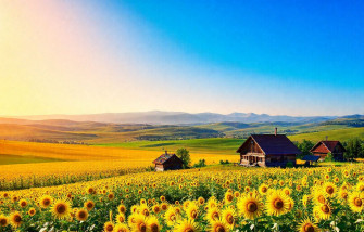 Ukraine HD Wallpaper