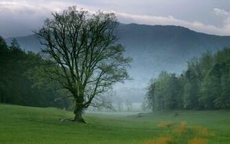 Cades Cove Great Smoky Mountains National Park Tennessee HD Wallpaper