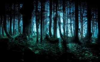 Dark Forest Wallpaper