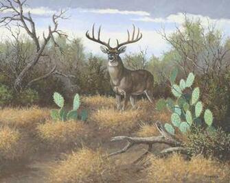 Alfa Img Showing Deer Scenes And Background