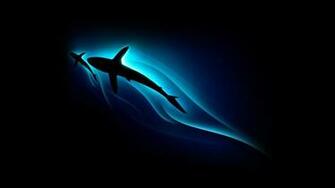 Background Cool Wallpaper Fish Animal Image Jpg