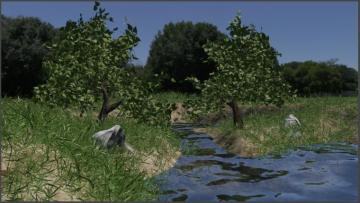 Made A Nature Render In Blender Using Only My Own Work The