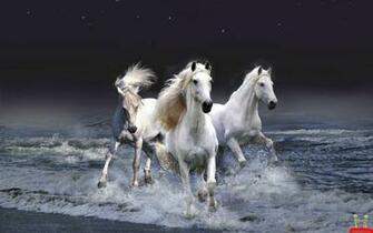 Horses Running In Ocean Waves HD Wallpaper E Entertainment