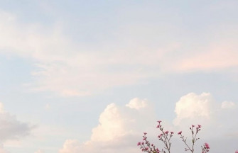 Aesthetic Wallpaper