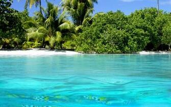 Beach Wallpaper