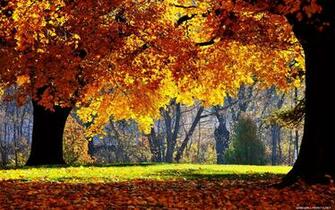 Fall Desktop Background Windows