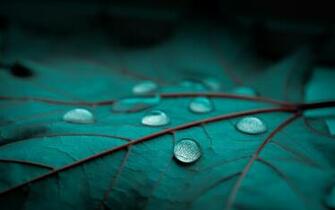 Blue Water Drops Wallpaper Ultra High Quality
