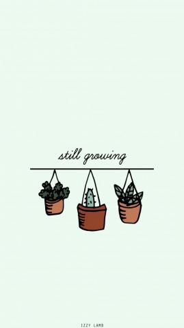 Wallpaper Plants Growth Growing iPhone