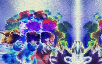 Wallpaper Desktop Background Trippy Hippie Shrooming Visions Enjoy