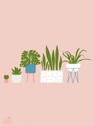 House Plant August Calendar Wallpaper Sarah Hearts