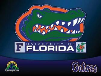 Gator Wallpaper Florida