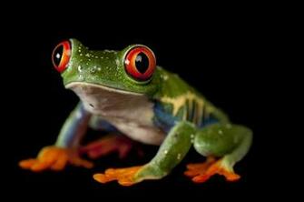 Sartore S Amphibians Exhibit At Morrill Hall Through Nov News