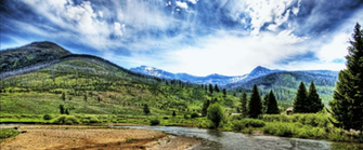 Pines Among Rolling Green Hills With Mountains In Background Montana