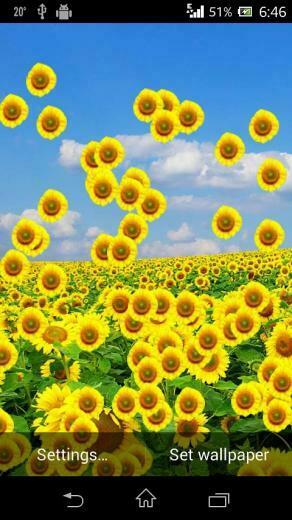 3d Sunflower HD Live Wallpaper Android Apps And Tests Androidpit