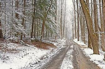 Winter Road Williambritten Wordpress Great Smoky Mountains