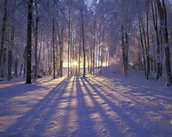 Beautiful Nature Winter Wallpaper HD In