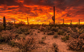 Desert Blaze Wallpaper
