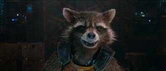 Raccoon Wallpaper Picture Photo Animal