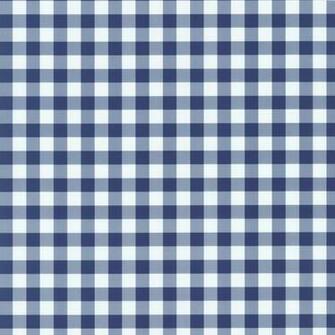 Playground Navy Blue White Gingham Check Wallpaper By P S