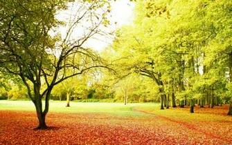 Awesome Wallpaper Nature Background HD Background For iPhone