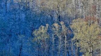 Newfound Gap In The Great Smoky Mountains National Park Between North