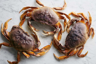 Fresh Dungeness Crabs Marble Wallpaper