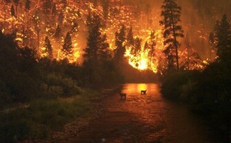 File Deerfire High Res Jpg Wikipedia The Encyclopedia