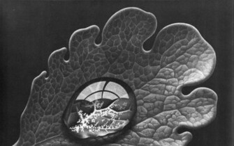 Paintings Grayscale Mc Escher Monochrome Water Drops Optical Illusions