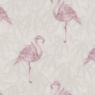 Contour Flamingo Wallpaper From Wilko Bathroom