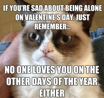 Animal Memes Valentine S Day Grumpy Cat Funny