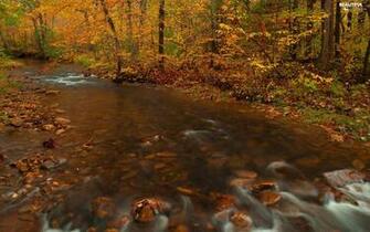 Trees River Autumn Stones Beautiful S Wallpaper