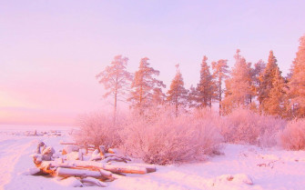 Pink Aesthetic Wallpaper