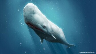 Ye Olde Moby Dick By Kaek