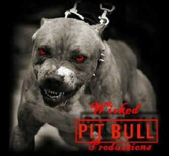 HD Wallpaper Pitbull Dog