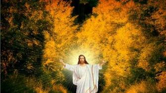 Jesus Desktop Wallpaper HD