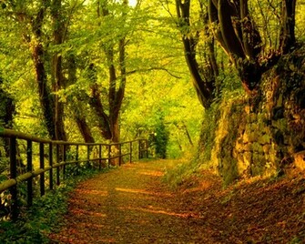 It S Autumn Desktop Pc And Mac Wallpaper