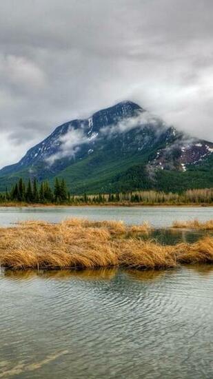 Nature Nexus Wallpaper HD And Background