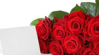 Red Rose Wallpaper HD Lovely