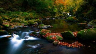 Nature Screensavers And Wallpaper For Computer By