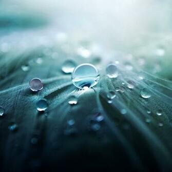 iPad Retina Display Wallpaper