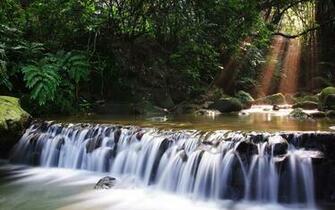 Waterfalls Wallpaper Water Fall HD