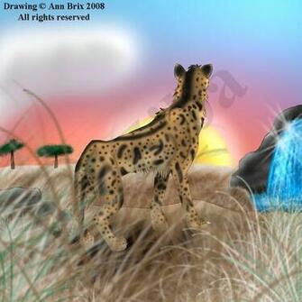 King Cheetahs Wallpaper Cheetah By Ziba