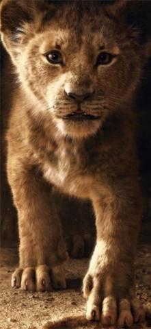 The Lion King Simba 4k iPhone Wallpaper