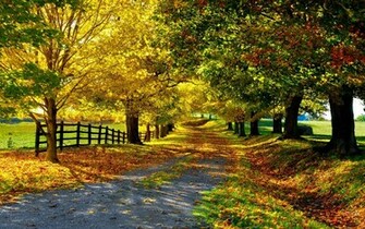 Autumn Season Woods HD Photography Wallpaper Landscape