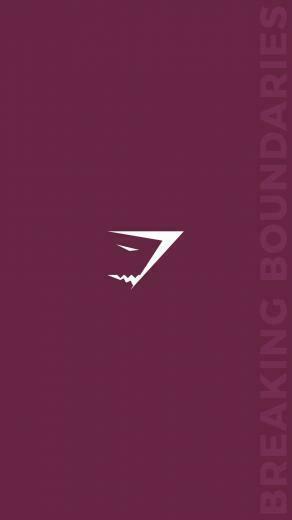 The Official Gymshark Wallpaper Breaking Boundaries
